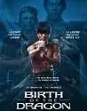 Birth of the Dragon (2017)