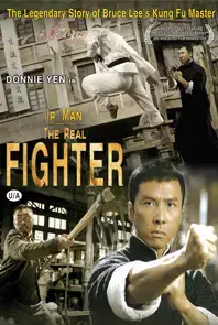 Ip Man The Real Fighter (2010)