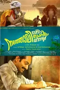 Natholi Oru Cheriya Meenalla (2013)