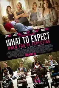 What To Expect When You Are Expecting (2012)