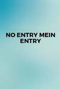 No Entry Mein Entry (2017)