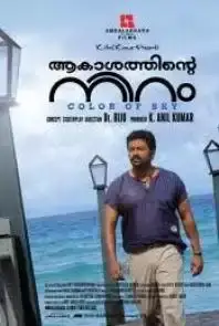 Aakasathinte Niram (2012)