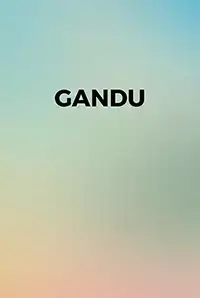 Gandu (2012)