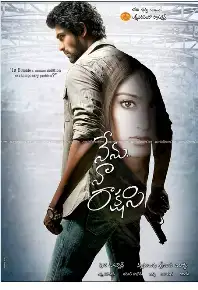 Nenu Naa Rakshasi (2011)