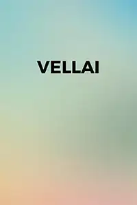 Vellai (2013)