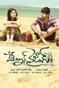 Made in Vizag (2013)