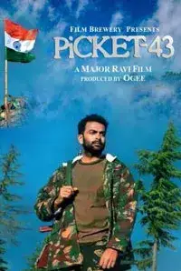 Picket 43 (2015)