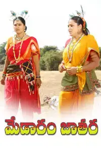Medaram Jathara (2014)