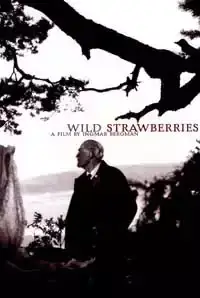 Wild Strawberries  (2014)