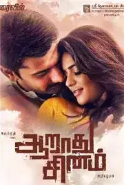 Aarathu Sinam (2016)