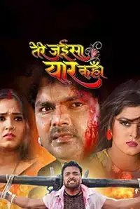 Tere Jaisa Yaar Kahan (2017)