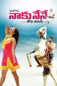 Naku Nene Thopu Thurumu (2017)