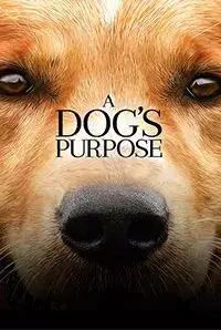 A Dog`s Purpose (2017)