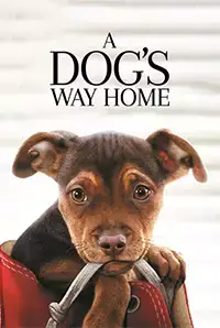 A Dog`s Way Home (2019)