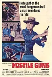 Hostile Guns (1967)