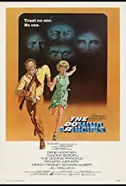 The Domino Principle (1977)