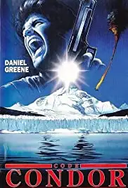 Sulle tracce del condor (1990)