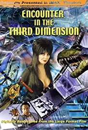 Encounter in the Third Dimension (1999)