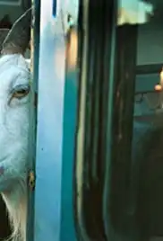 Ballada o kozie (2004)