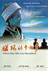 Ruoma de shi qi sui (2002)