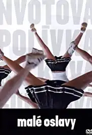 Malé oslavy (2008)