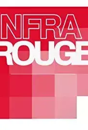 Le mur de l'Atlantique, monument de la collaboration (2010)