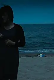 3.11 Sense of Home (2011)