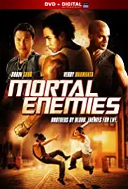 Pirate Brothers (2011)