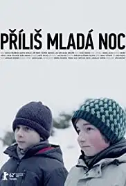 Prílis mladá noc (2012)