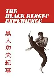 The Black Kung Fu Experience (2012)