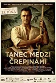 Tanec medzi crepinami (2012)