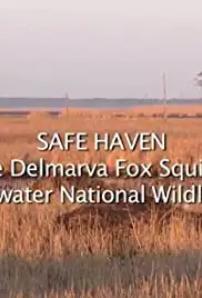 Safe Haven: The Delmarva Fox Squirrel and Blackwater National Wildlife Refuge (2012)