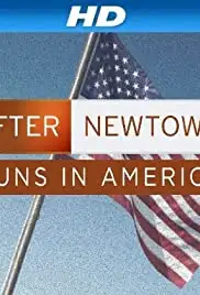 After Newtown: Guns in America (2013)