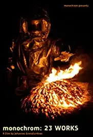 monochrom: 23 Works (2013)