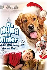 Christmas with Tucker (2013)