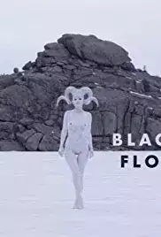 Black Flower (2015)