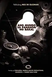 Ang mundo sa panahon ng bakal (2013)