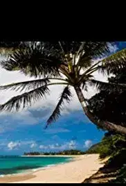 Mainland To Oahu (2015)