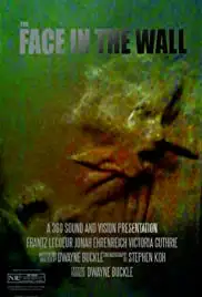 The Face in the Wall (2017)