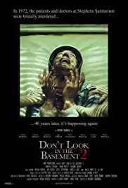 Don't Look in the Basement 2 (2015)