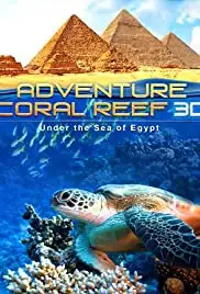 Adventure Coral Reef 3D Under the Sea of Egypt (2013)