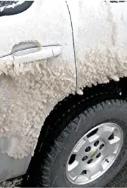 Roadside Attractions (2010)