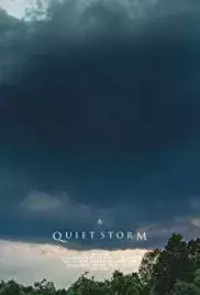 A Quiet Storm (2017)