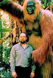 Giganthropithicus (2016)