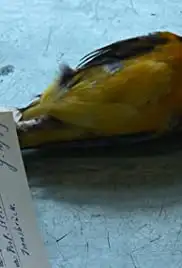 Natural History (2014)