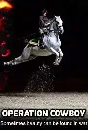 Operation Cowboy (2016)