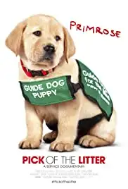 Pick of the Litter (2018)
