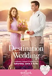 Destination Wedding (2017)