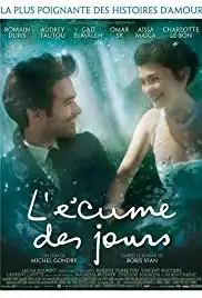 L'écume des jours (2013)