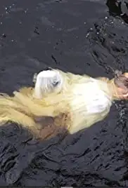 Vestuves/the Wedding (2019)